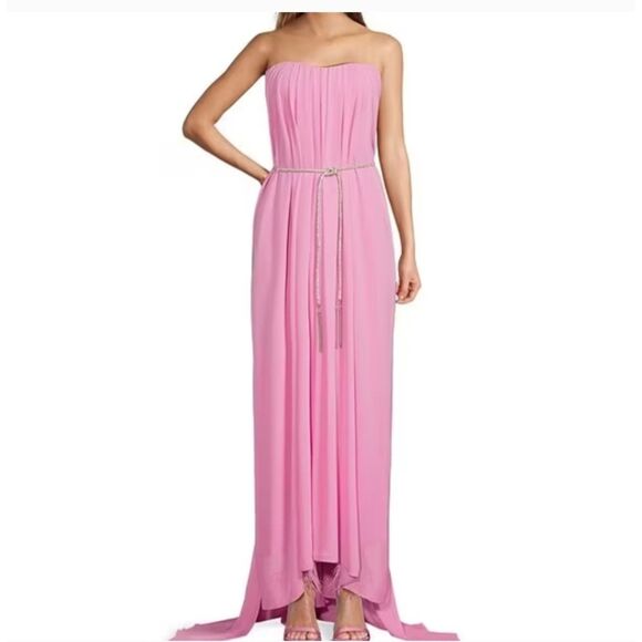 Antonio Melani x Breast Cancer Awareness Pink Stacy Chiffon Dress NWT Size 4 - Picture 2 of 13